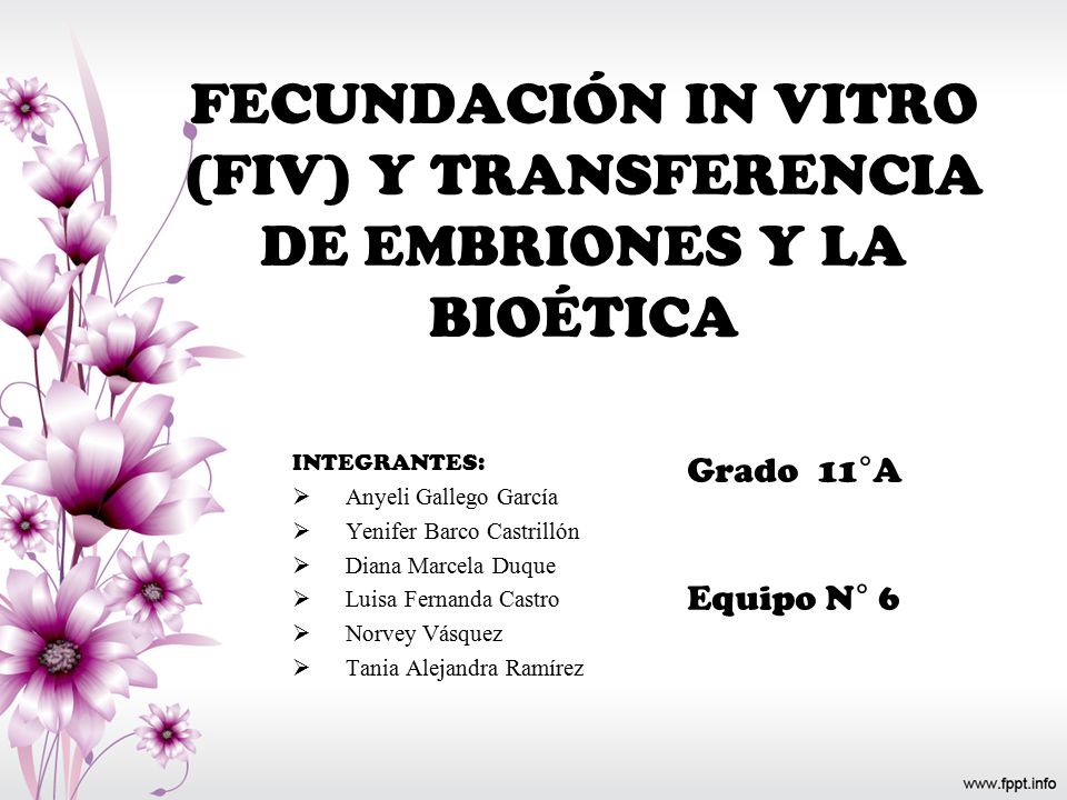 FECUNDACIÓN IN VITRO (FIV) Y TRANSFERENCIA DE EMBRIONES Y LA BIOÉTICA