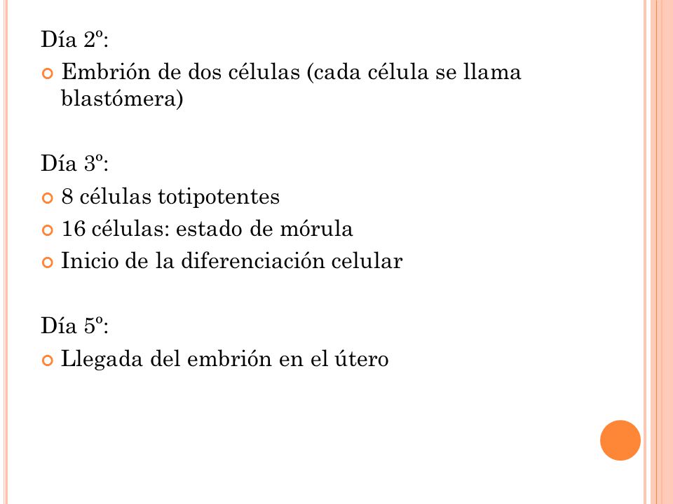 Día 2º: Embrión de dos células (cada célula se llama blastómera) Día 3º: 8 células totipotentes.