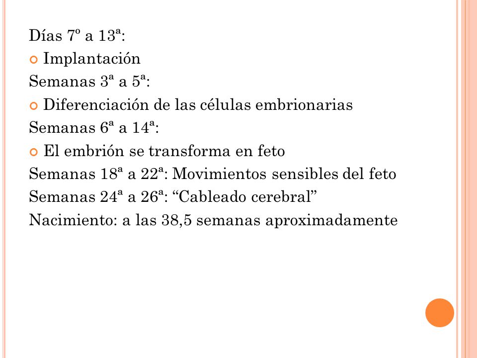 Días 7º a 13ª: Implantación. Semanas 3ª a 5ª: Diferenciación de las células embrionarias. Semanas 6ª a 14ª: