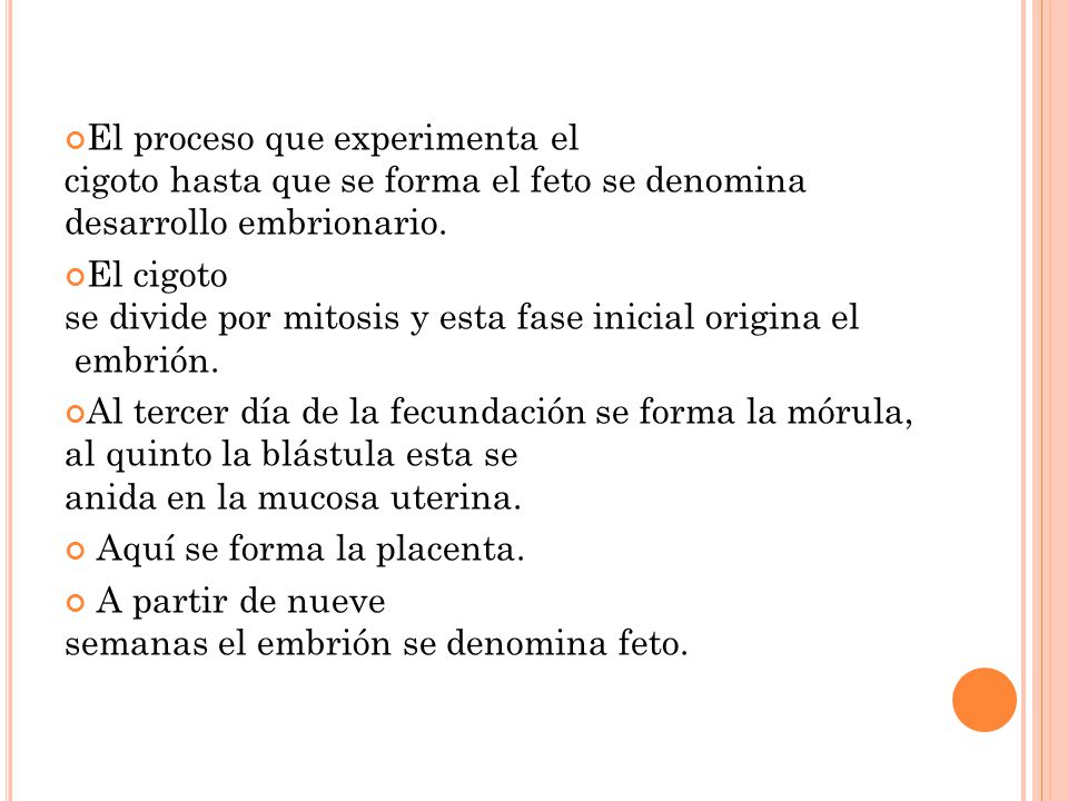 El proceso que experimenta el cigoto hasta que se forma el feto se denomina desarrollo embrionario.
