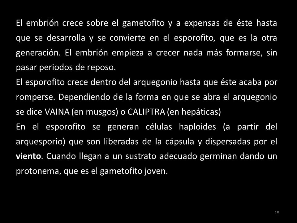El embrión crece sobre el gametofito y a expensas de éste hasta que se desarrolla y se convierte en el esporofito, que es la otra generación. El embrión empieza a crecer nada más formarse, sin pasar periodos de reposo.