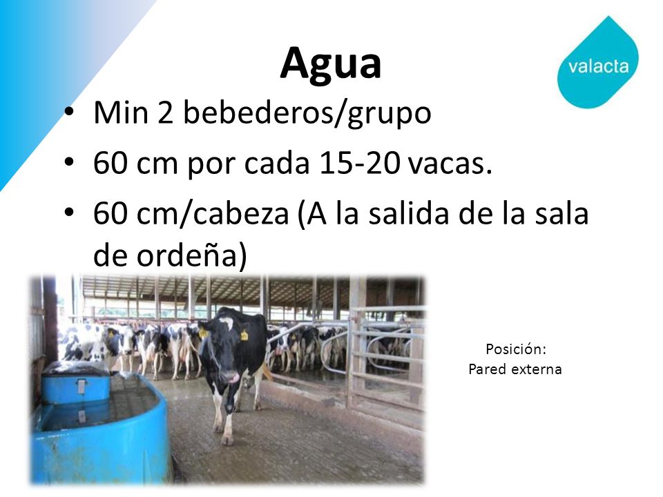 Agua Min 2 bebederos/grupo 60 cm por cada vacas.