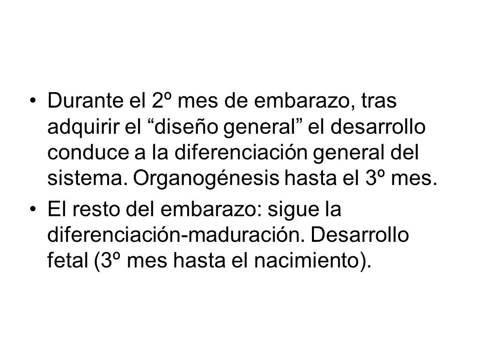 Durante el 2º mes de embarazo, tras adquirir el diseño general el desarrollo conduce a la diferenciación general del sistema. Organogénesis hasta el 3º mes.