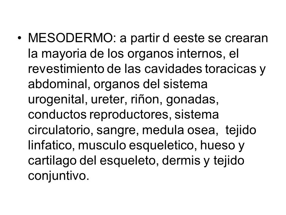 MESODERMO: a partir d eeste se crearan la mayoria de los organos internos, el revestimiento de las cavidades toracicas y abdominal, organos del sistema urogenital, ureter, riñon, gonadas, conductos reproductores, sistema circulatorio, sangre, medula osea, tejido linfatico, musculo esqueletico, hueso y cartilago del esqueleto, dermis y tejido conjuntivo.