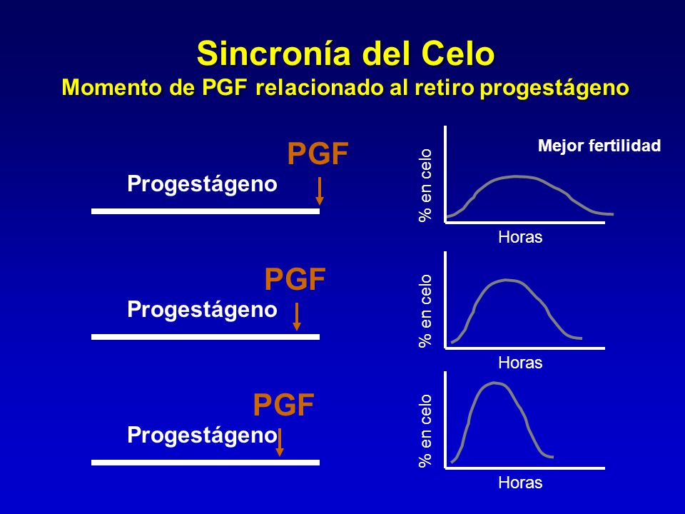 Sincronía del Celo Momento de PGF relacionado al retiro progestágeno