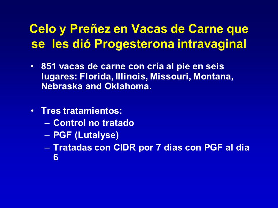 Celo y Preñez en Vacas de Carne que se les dió Progesterona intravaginal