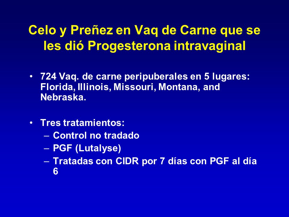 Celo y Preñez en Vaq de Carne que se les dió Progesterona intravaginal