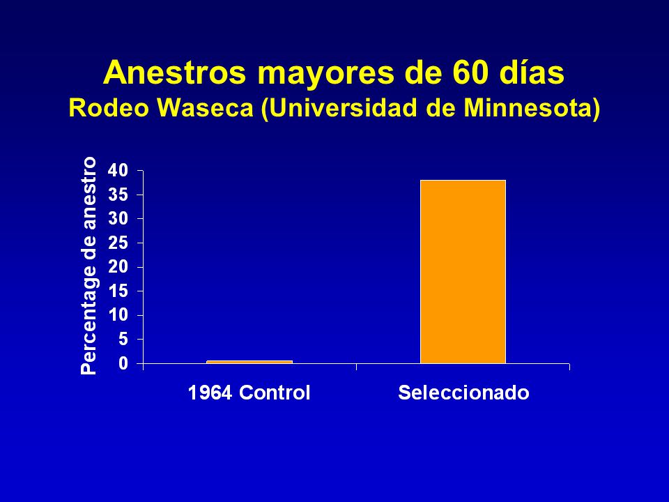 Anestros mayores de 60 días Rodeo Waseca (Universidad de Minnesota)