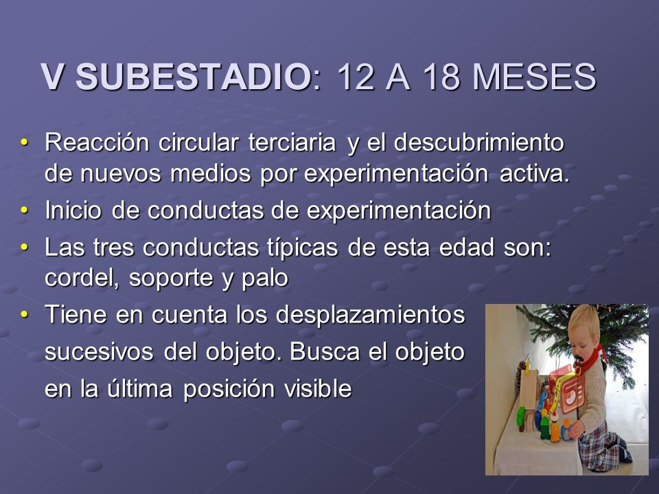 V SUBESTADIO: 12 A 18 MESES Reacción circular terciaria y el descubrimiento de nuevos medios por experimentación activa.