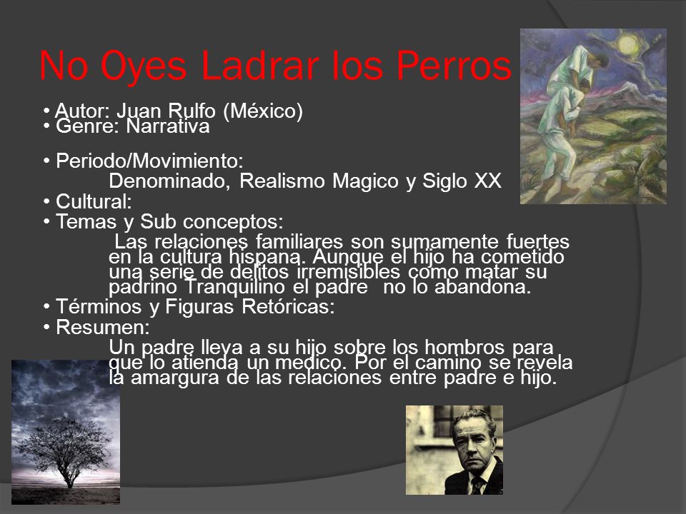 No Oyes Ladrar los Perros