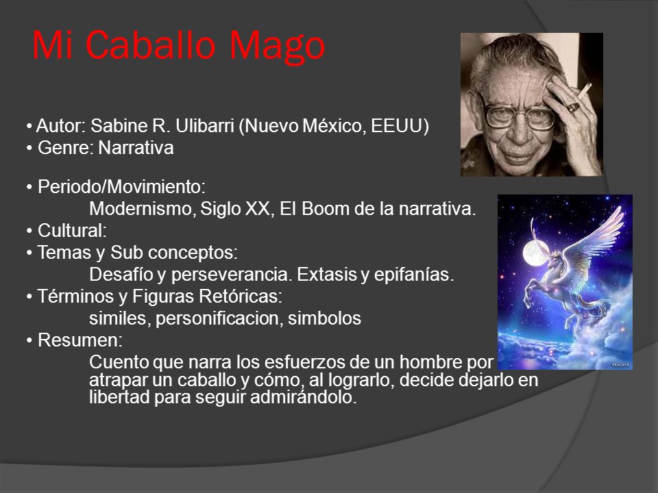 Mi Caballo Mago • Autor: Sabine R. Ulibarri (Nuevo México, EEUU)