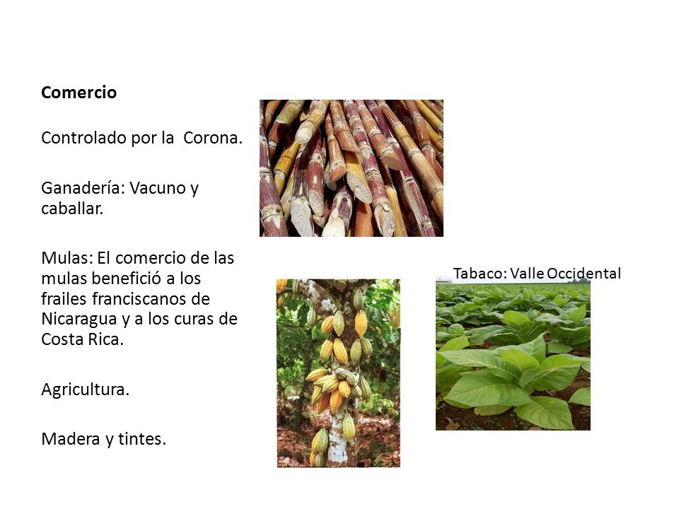 Controlado por la Corona. Ganadería: Vacuno y caballar.