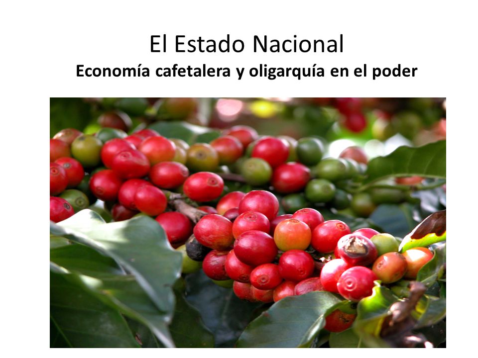 El Estado Nacional Economía cafetalera y oligarquía en el poder