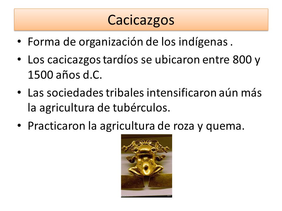 Cacicazgos Forma de organización de los indígenas .