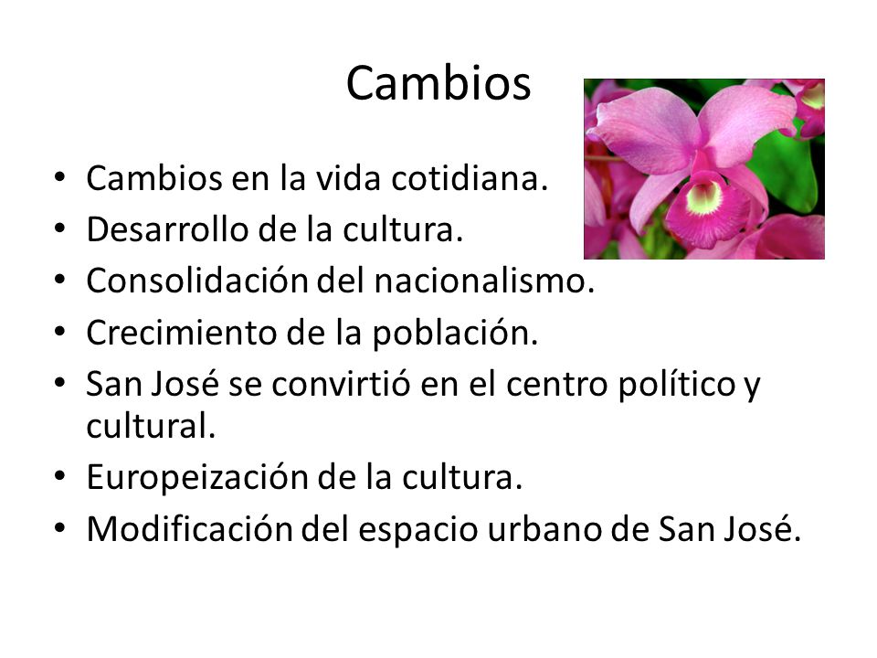 Cambios Cambios en la vida cotidiana. Desarrollo de la cultura.