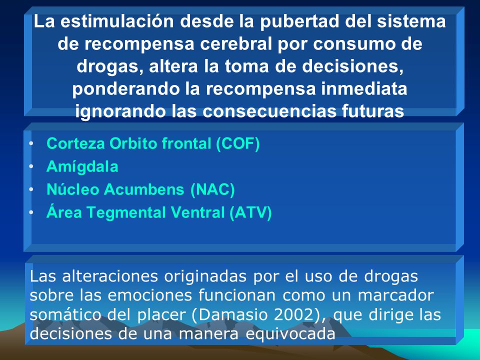 La estimulación desde la pubertad del sistema de recompensa cerebral por consumo de drogas, altera la toma de decisiones, ponderando la recompensa inmediata ignorando las consecuencias futuras