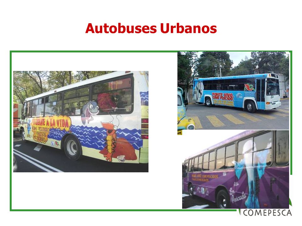 Autobuses Urbanos