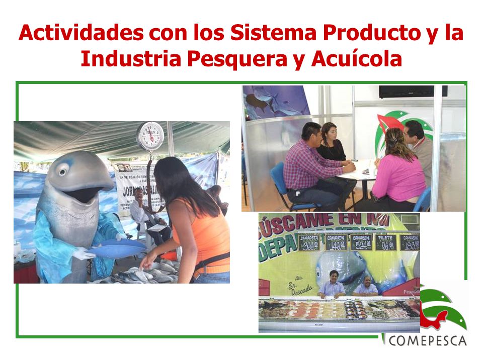 Actividades con los Sistema Producto y la Industria Pesquera y Acuícola