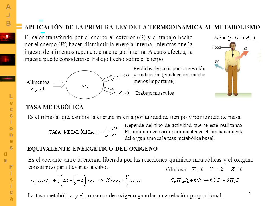 APLICACIÓN DE LA PRIMERA LEY DE LA TERMODINÁMICA AL METABOLISMO