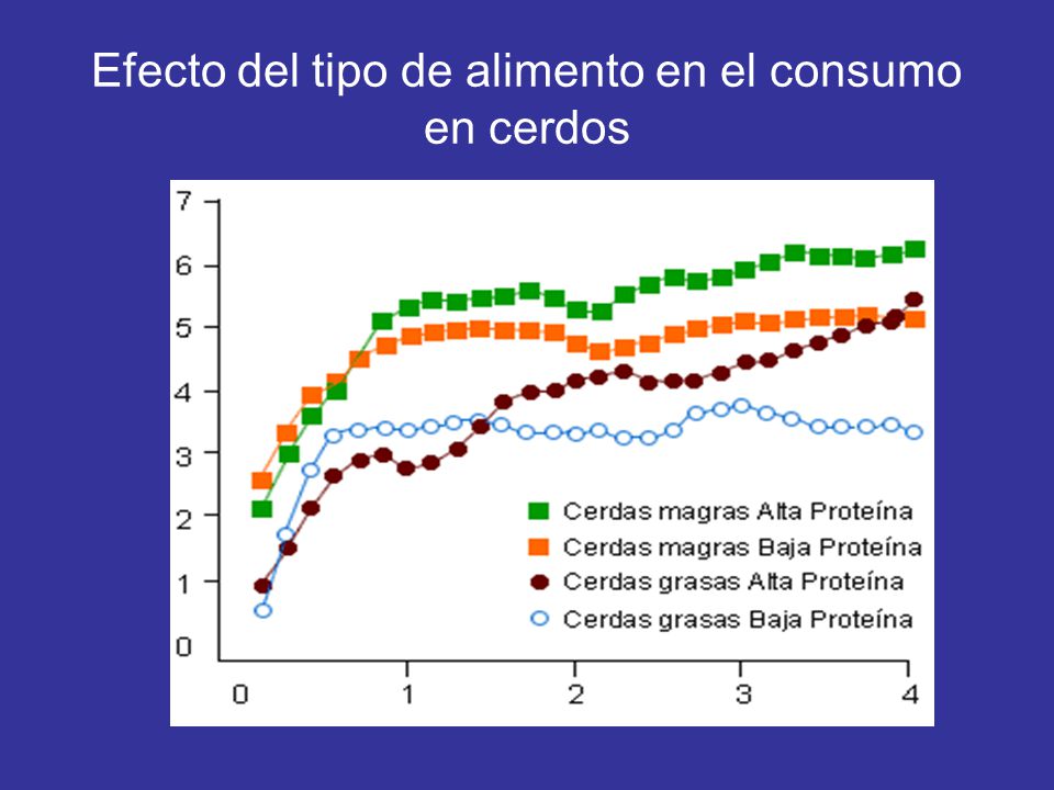 Efecto del tipo de alimento en el consumo en cerdos