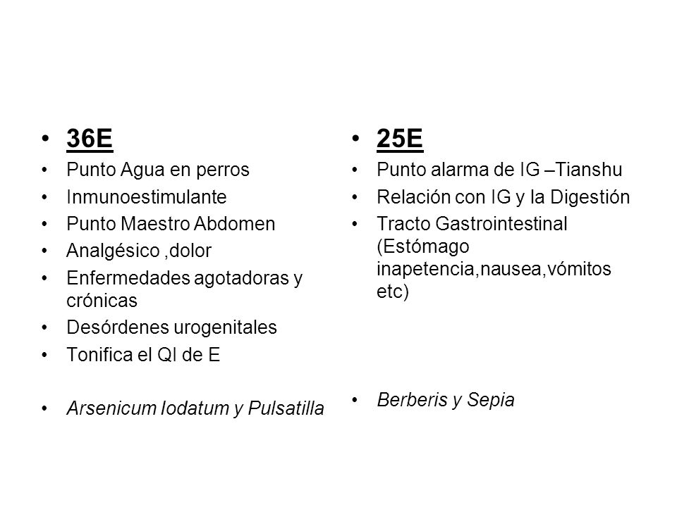 36E 25E Punto Agua en perros Inmunoestimulante Punto Maestro Abdomen
