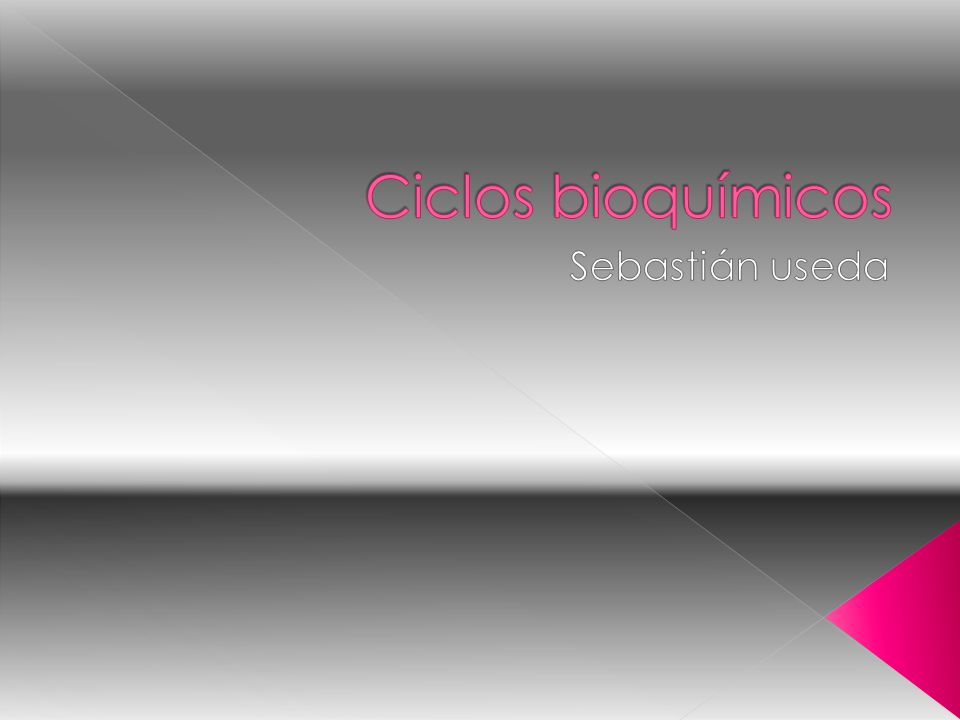 Ciclos bioquímicos Sebastián useda