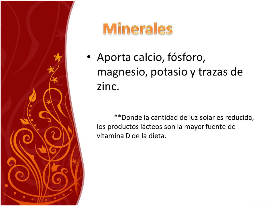 Minerales Aporta calcio, fósforo, magnesio, potasio y trazas de zinc.