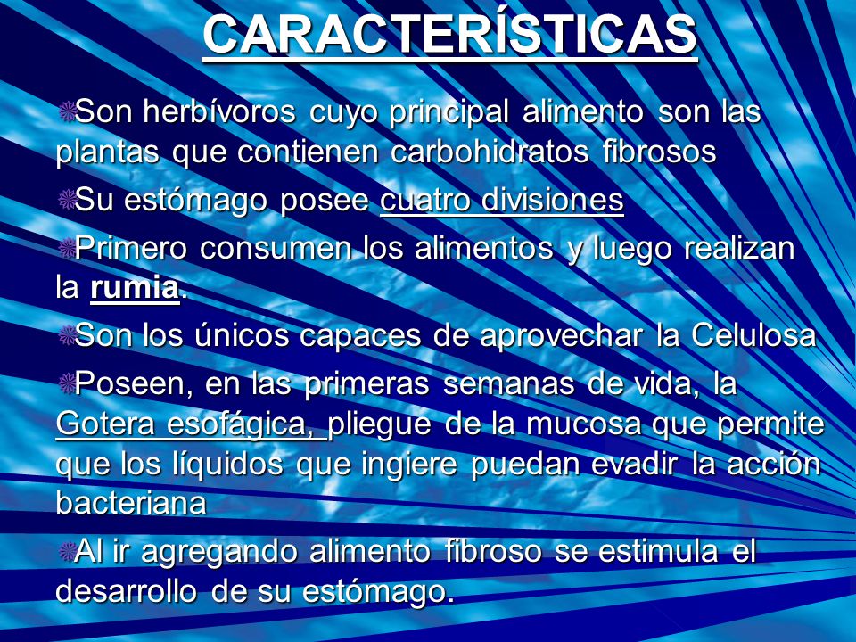 CARACTERÍSTICAS Son herbívoros cuyo principal alimento son las plantas que contienen carbohidratos fibrosos.