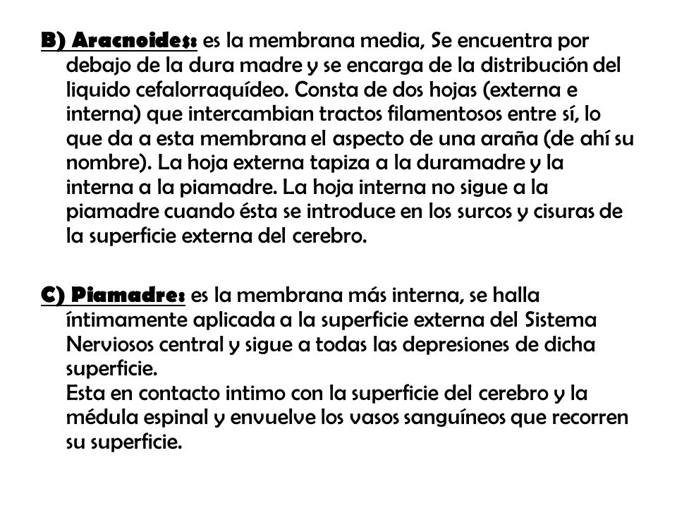B) Aracnoides: es la membrana media, Se encuentra por debajo de la dura madre y se encarga de la distribución del liquido cefalorraquídeo. Consta de dos hojas (externa e interna) que intercambian tractos filamentosos entre sí, lo que da a esta membrana el aspecto de una araña (de ahí su nombre). La hoja externa tapiza a la duramadre y la interna a la piamadre. La hoja interna no sigue a la piamadre cuando ésta se introduce en los surcos y cisuras de la superficie externa del cerebro.