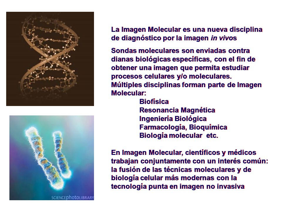 La Imagen Molecular es una nueva disciplina de diagnóstico por la imagen in vivos