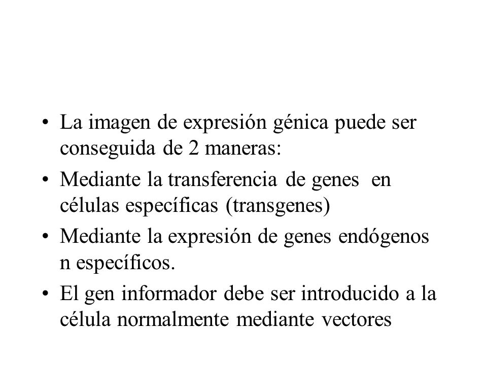 La imagen de expresión génica puede ser conseguida de 2 maneras: