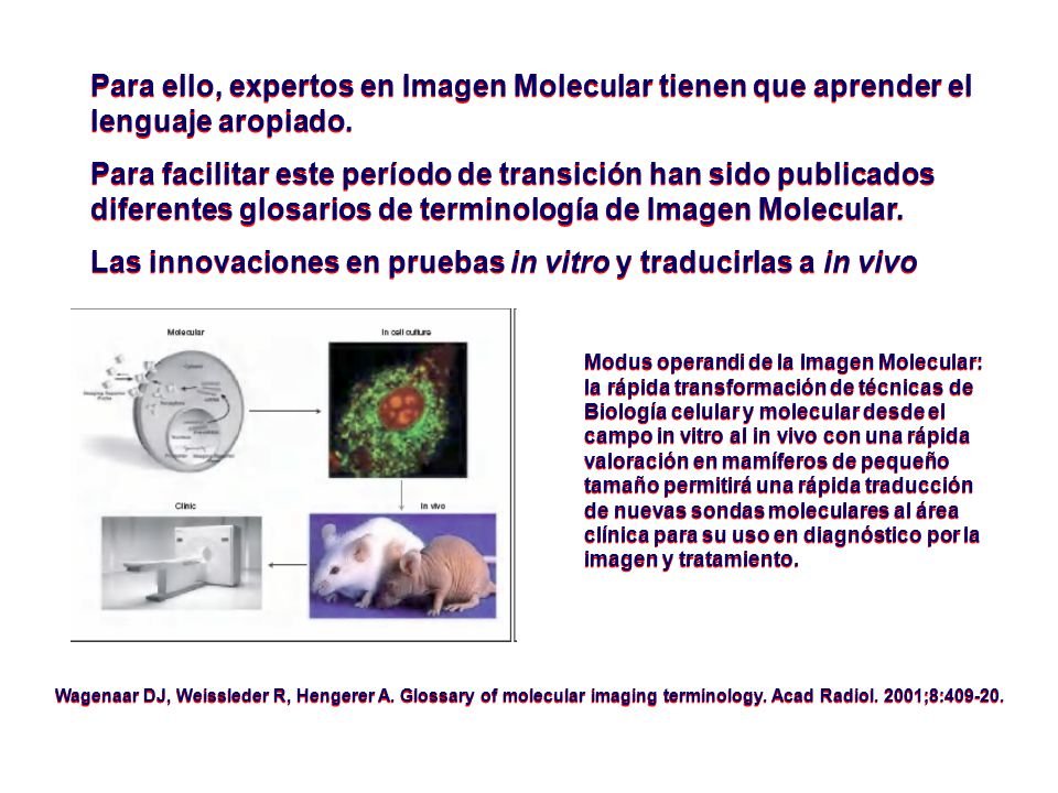 Las innovaciones en pruebas in vitro y traducirlas a in vivo