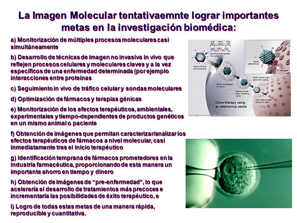 La Imagen Molecular tentativaemnte lograr importantes metas en la investigación biomédica:
