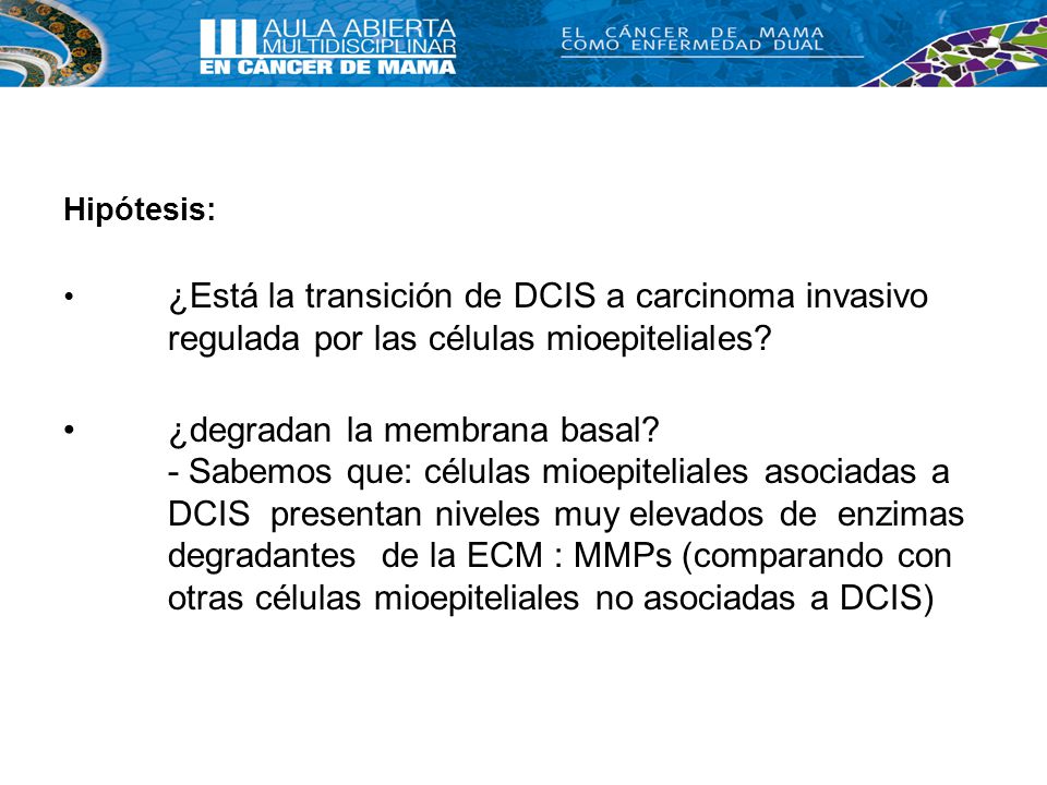 Hipótesis: ¿Está la transición de DCIS a carcinoma invasivo regulada por las células mioepiteliales