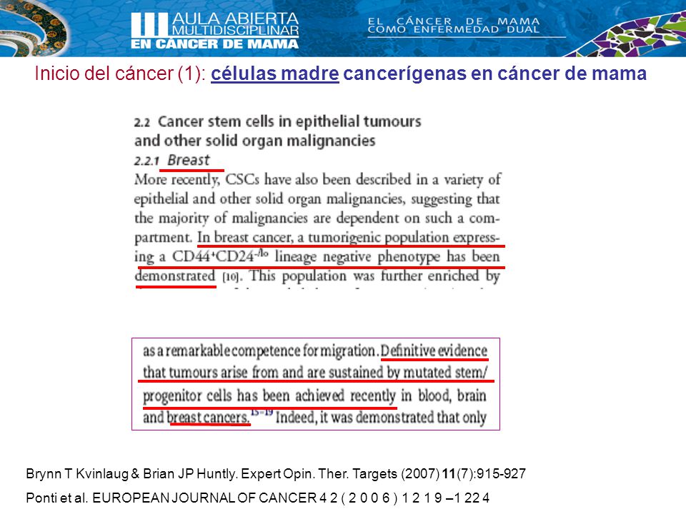 Inicio del cáncer (1): células madre cancerígenas en cáncer de mama