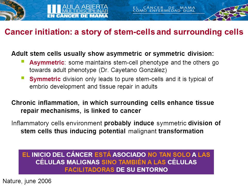 Cancer initiation: a story of stem-cells and surrounding cells