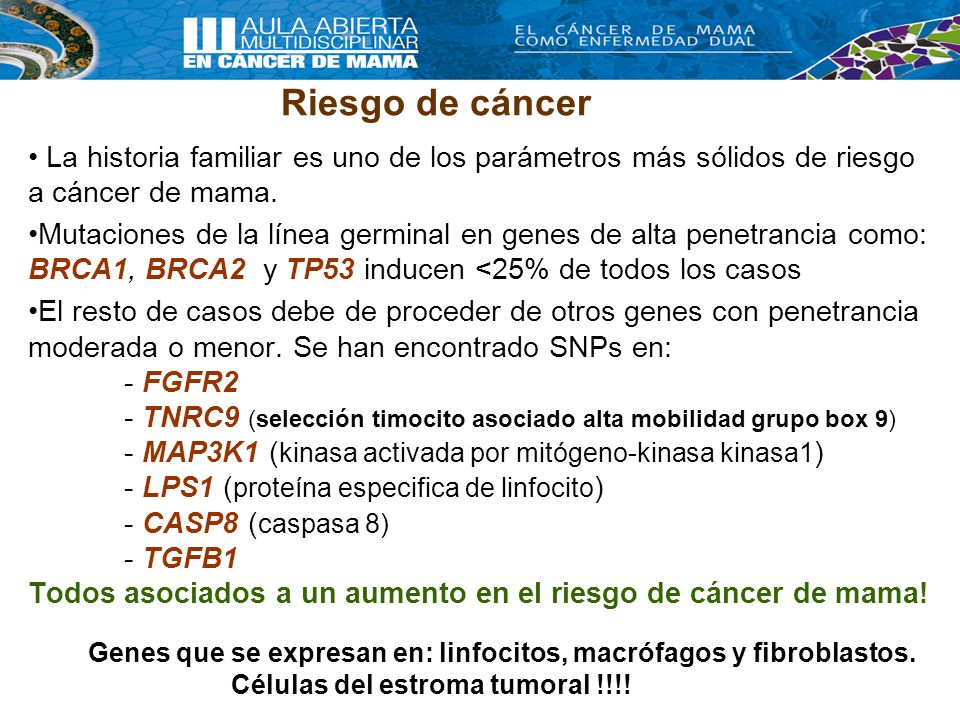 Riesgo de cáncer La historia familiar es uno de los parámetros más sólidos de riesgo a cáncer de mama.