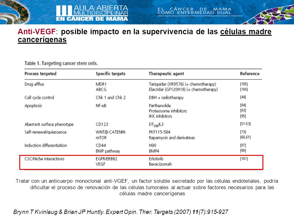 Anti-VEGF: posible impacto en la supervivencia de las células madre cancerígenas