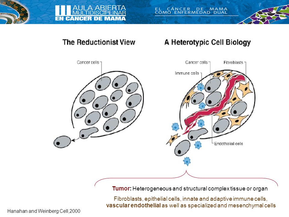 Tumor: Heterogeneous and structural complex tissue or organ