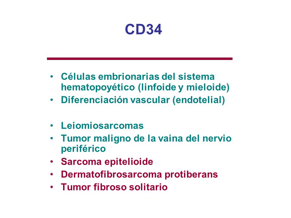 CD34 Células embrionarias del sistema hematopoyético (linfoide y mieloide) Diferenciación vascular (endotelial)