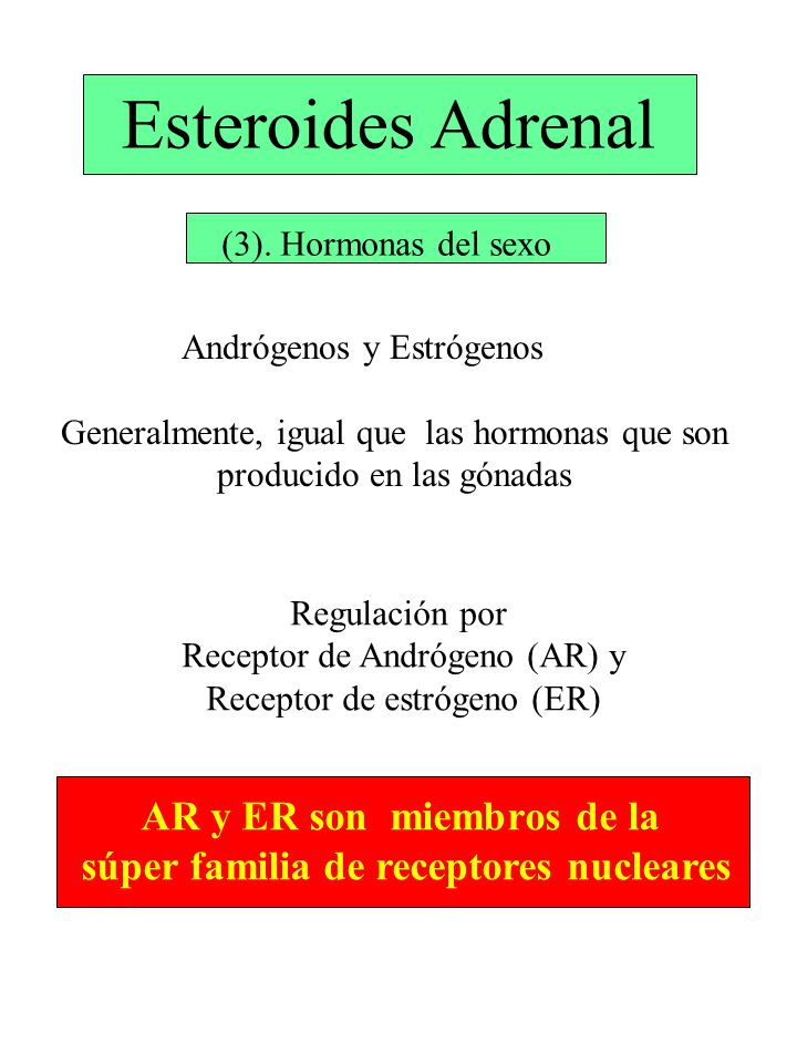 AR y ER son miembros de la súper familia de receptores nucleares