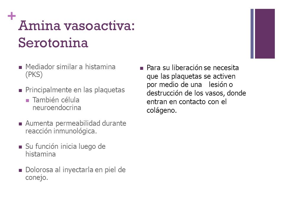 Amina vasoactiva: Serotonina