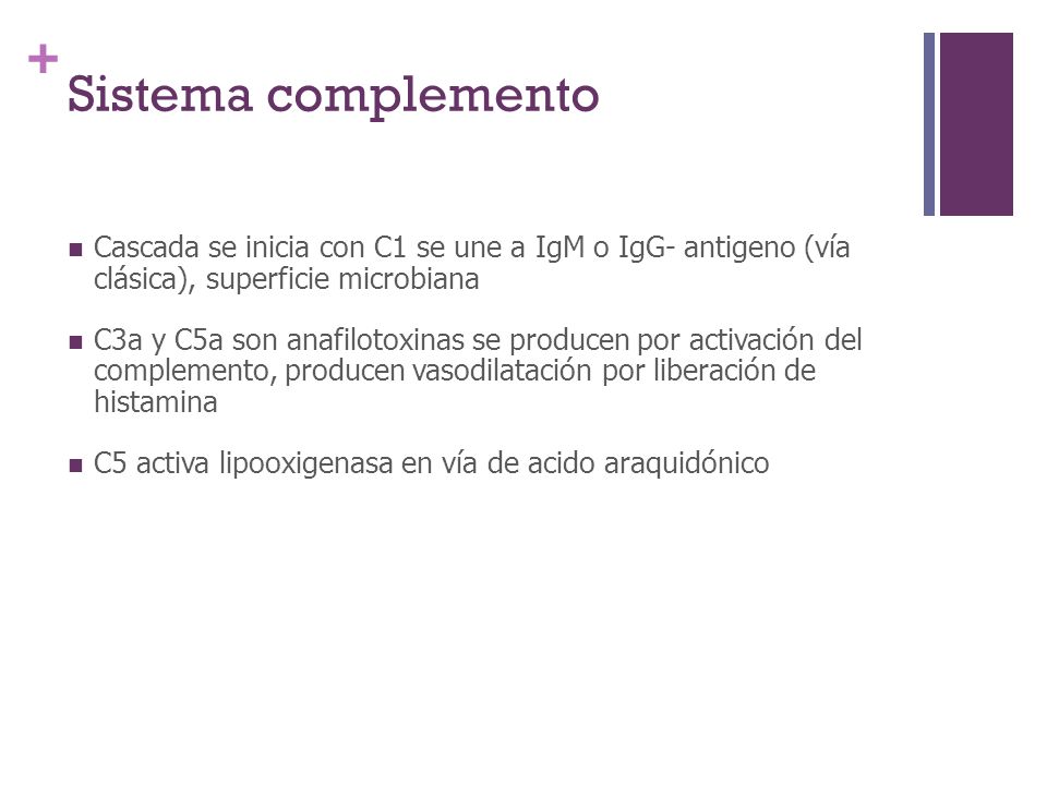 Sistema complemento Cascada se inicia con C1 se une a IgM o IgG- antigeno (vía clásica), superficie microbiana.