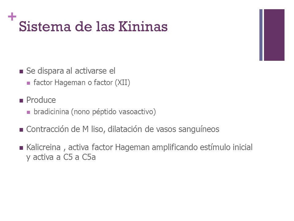 Sistema de las Kininas Se dispara al activarse el Produce