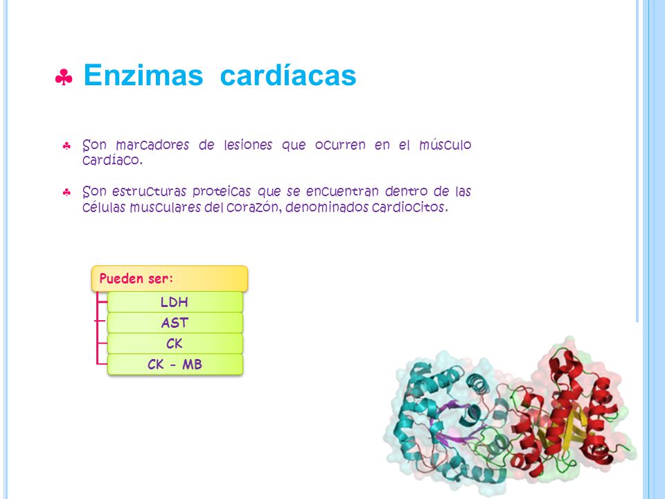 Enzimas cardíacas Son marcadores de lesiones que ocurren en el músculo cardíaco.