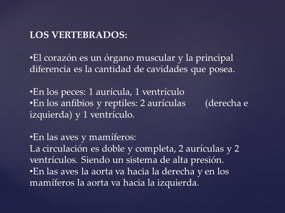 LOS VERTEBRADOS: El corazón es un órgano muscular y la principal diferencia es la cantidad de cavidades que posea.