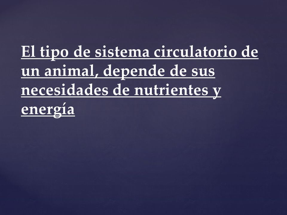 El tipo de sistema circulatorio de un animal, depende de sus necesidades de nutrientes y energía