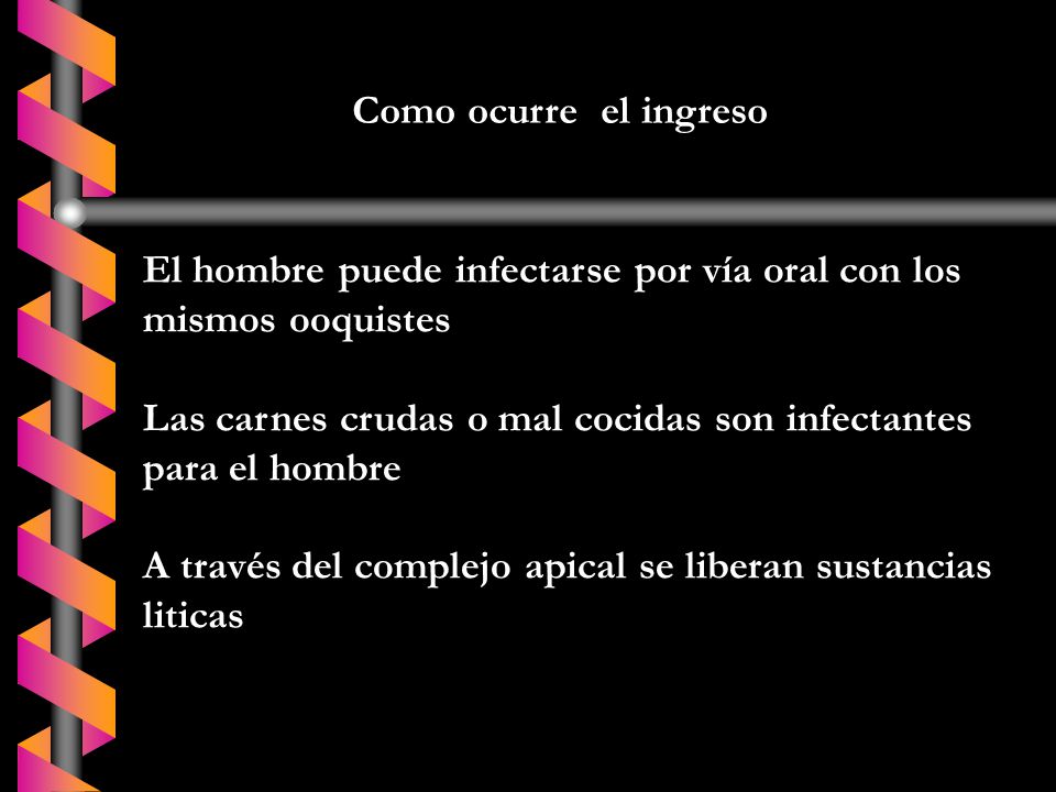 Como ocurre el ingreso El hombre puede infectarse por vía oral con los mismos ooquistes.