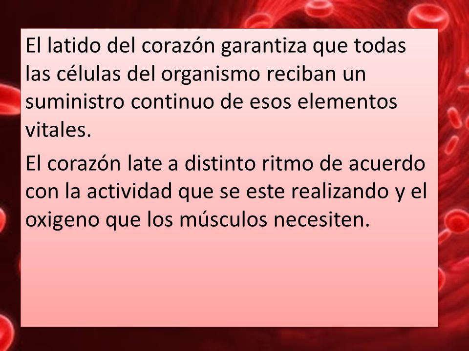 El latido del corazón garantiza que todas las células del organismo reciban un suministro continuo de esos elementos vitales.