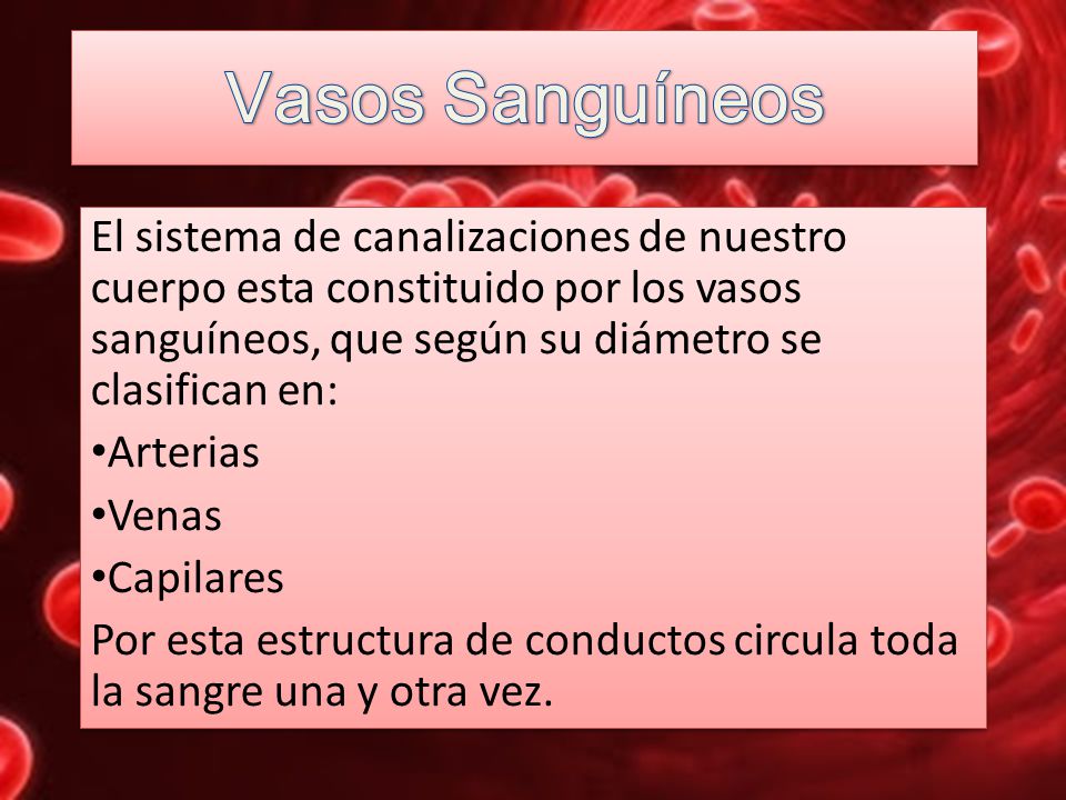 Vasos Sanguíneos El sistema de canalizaciones de nuestro cuerpo esta constituido por los vasos sanguíneos, que según su diámetro se clasifican en:
